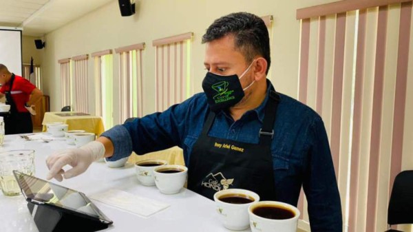 Occidente de Honduras exporta 2.7 millones de quintales de café