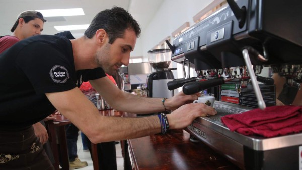 Cafetaleros listos para ofrecer lo mejor de la cosecha tardía