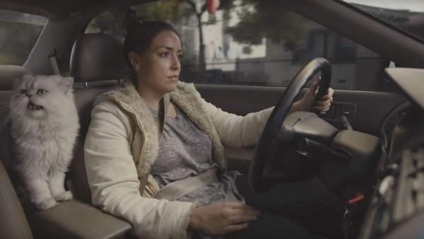 El valor de un auto usado se dispara gracias a este video  