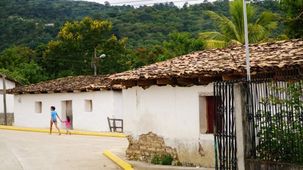 Conozca El Güisayote: zona fría de hermosas y elevadas praderas