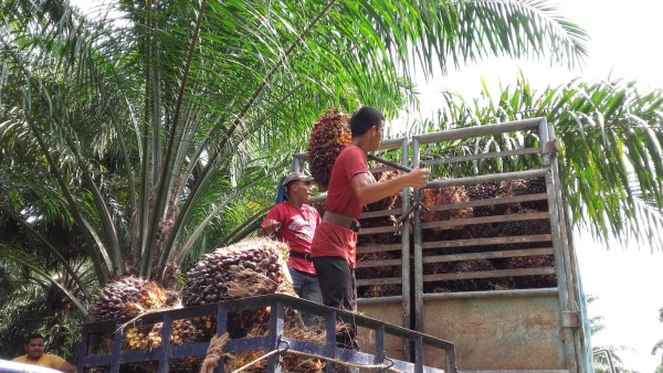 'No vamos a individualizar la deuda”: Muca margen derecha