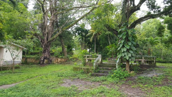 Aseguran otra residencia a 'Don H' en San Pedro Sula