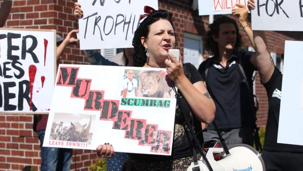 Dentista que mató a Cecil sale de escondite y vuelve a EUA