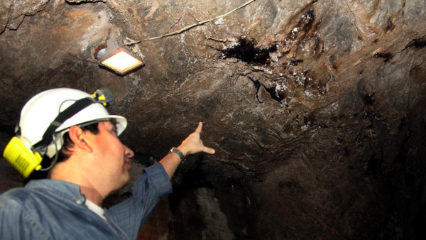 Represa El Cajón está en un riesgo inminente: Cimeqh