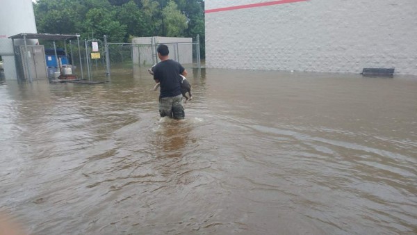 Las imágenes de los hondureños afectados por inundaciones en Houston