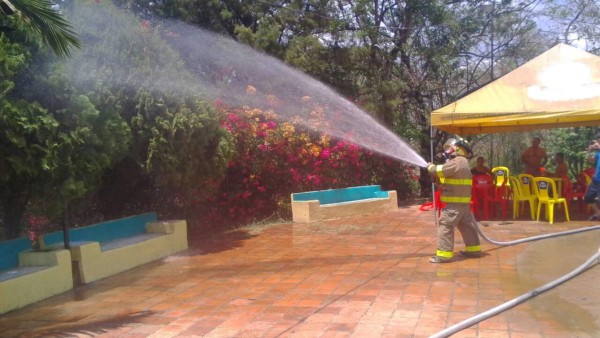 Enjambre de abejas ataca varias personas en un centro turistico