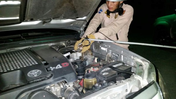 Susto: Hombre abre tonó de carro y se encuentra una boa