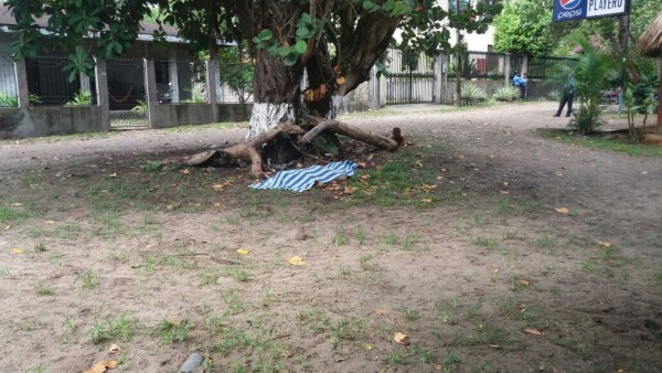 Matan a conductor de mototaxi y lo dejan bajo de un árbol