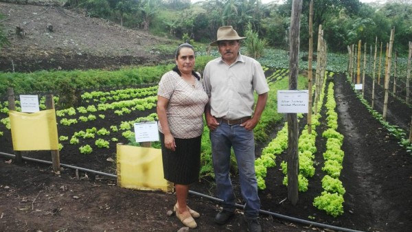 Revisan los proyectos agrícolas de Cooperación Trilateral