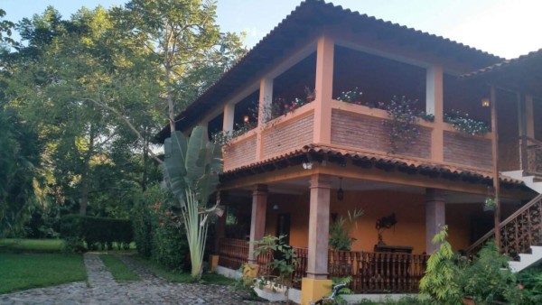 45 bienes y L1.5 millones decomisados en operación Olimpo