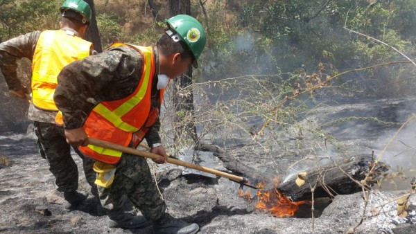 Fuerzas Armadas participa en control de incendio en Tegucigalpa