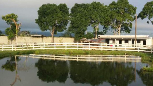 Fiscalía avalúa bienes incautados al exalcalde de Yoro