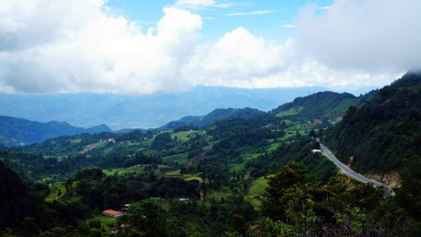 Conozca El Güisayote: zona fría de hermosas y elevadas praderas