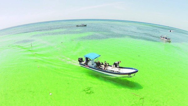 Honduras: Ferris, vuelos y cruceros llenan la Isla de Roatán