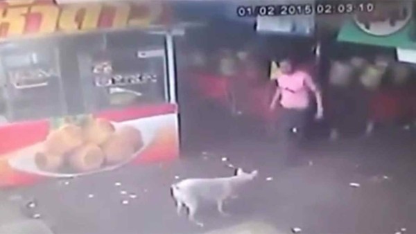 El momento cuando el joven se apresta a patear al perro pero lo que logra es lastimarse él mismo. Foto YouTube.