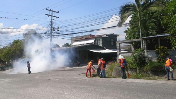 Arrecian fumigaciones para prevenir el dengue en San Pedro Sula