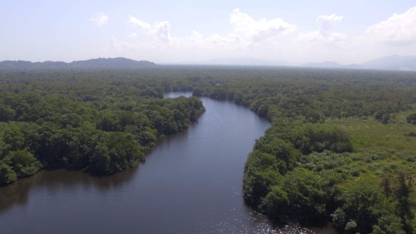 El puerto de Tela, destino turístico que lo tiene todo