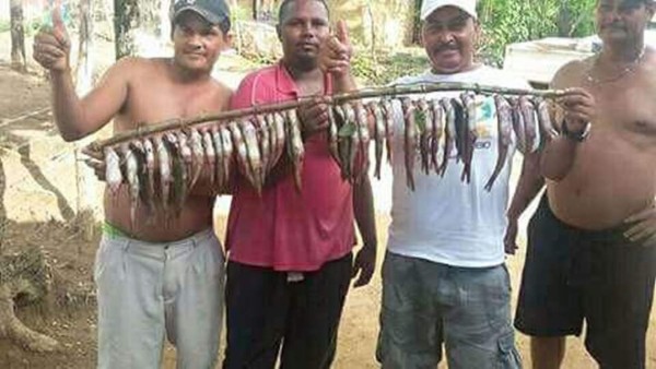 Cae por tercera vez en este año la lluvia de peces en Yoro