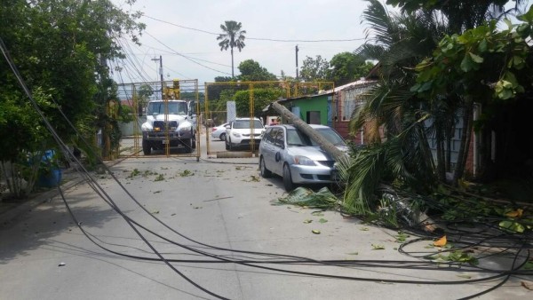 Rastra se lleva cables de energía y deja a oscuras parte de la Satélite