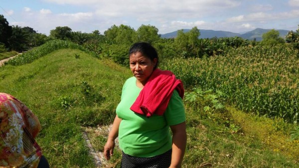 El hecho ocurrió ayer a las 3:00 pm.