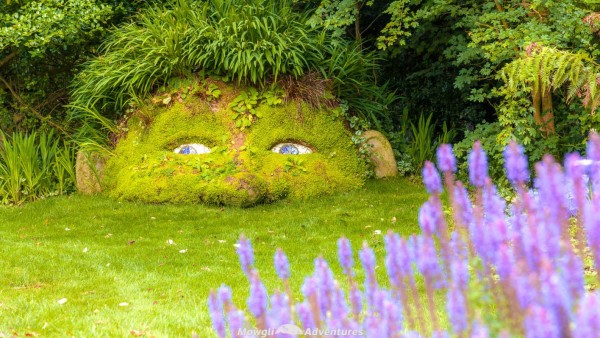 La belleza de los Jardines Perdidos de Heligan