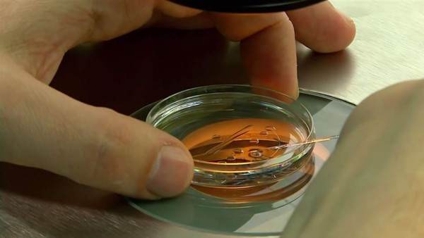 Médico ucraniano, pionero en concepción de bebés con tres padres