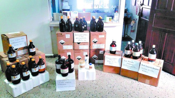 Investigan si la MS se dedica al procesamiento de drogas