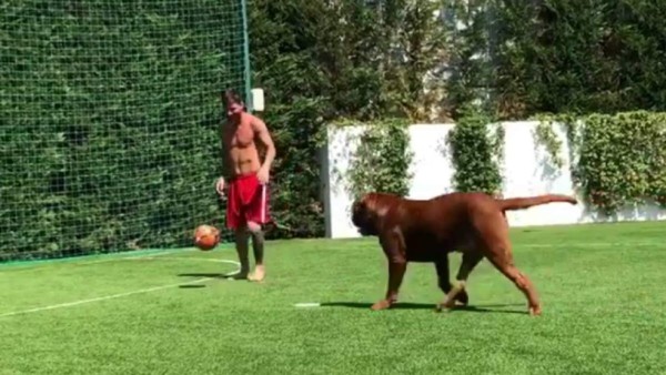 Video: Messi se divierte jugando fútbol con su perro y su hijo enloquece