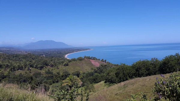 Algas marinas interesan a científicos de Estados Unidos