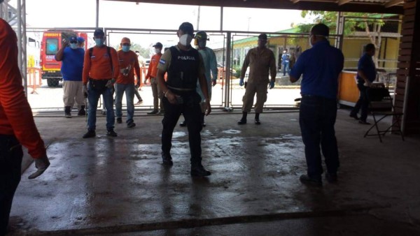 Arriban al país otros 355 marinos que estaban varados en cruceros