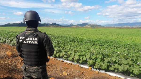 Otros 42 bienes les aseguran a los Pinto