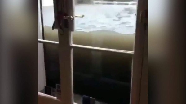 Video: Así se inundó un negocio en Miami