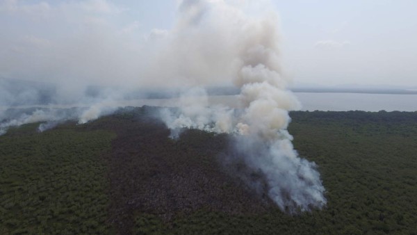 Incendio en el parque Jeannette Kawas fue provocado