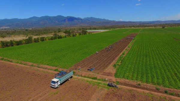 Unión regional impulsará evolución de la industria