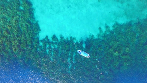 Roatán, la isla hondureña que siempre sorprende por sus incontables encantos