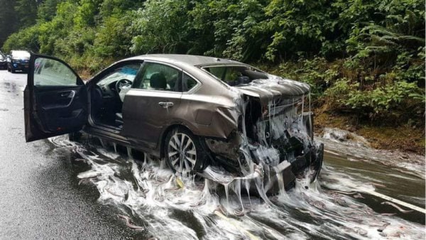 La 'repugnante' consecuencia de un insólito accidente de tránsito