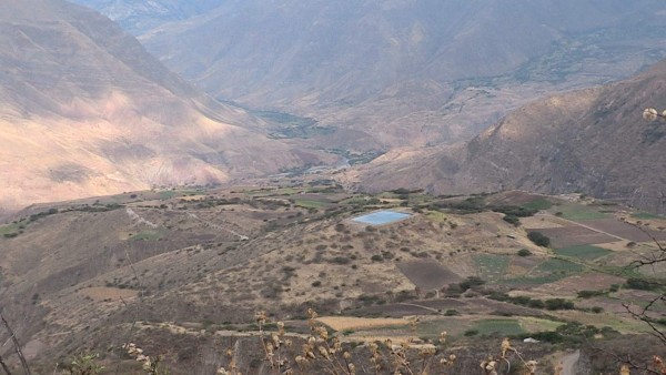 Chunka, la cóndor que preservará a su especie en el Ecuador