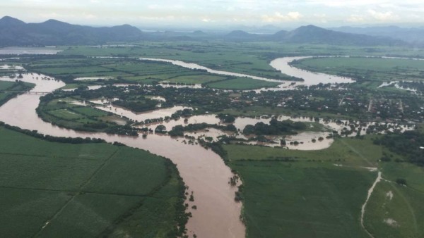 Productores sufren millonarias pérdidas por inundaciones en Honduras