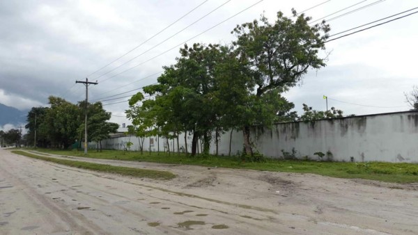Hallan segunda caleta en contenedor asegurado a la MS
