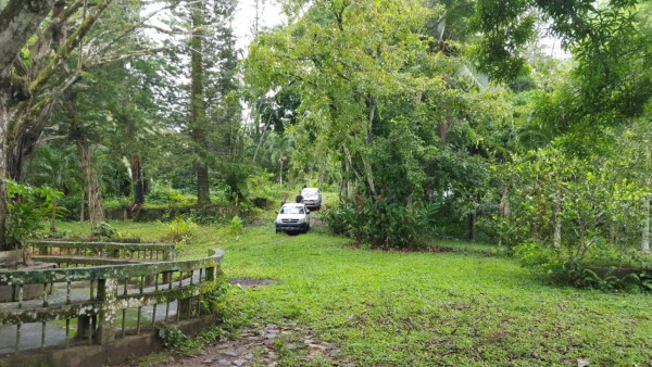 Hoy siguen asegurando bienes de 'Don H”