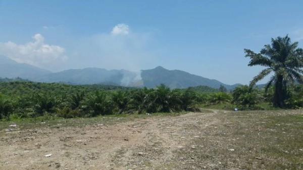 Operación Icoteas tras los pasos de Wilter Blanco Ruiz