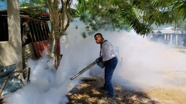 Piden unir fuerzas para destruir la plaga de zancudos en el valle de Sula