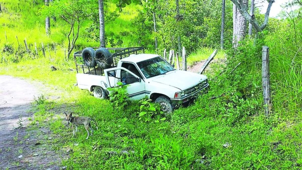 Matan a un reconocido ganadero en Comayagua