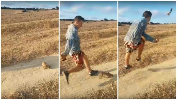 Video: la Policía busca a joven que pateó a un conejo al grito de 'Cristiano Ronaldo'