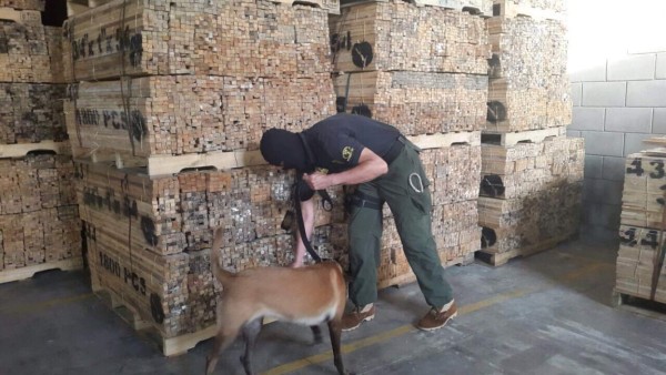 Desmantelan almacén de madera en busca de droga