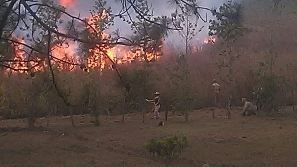 Incendio casi arrasa con ocho viviendas y un restaurante en Siguatepeque