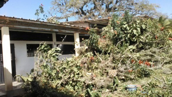 Vientos huracanados hacen estragos en Honduras