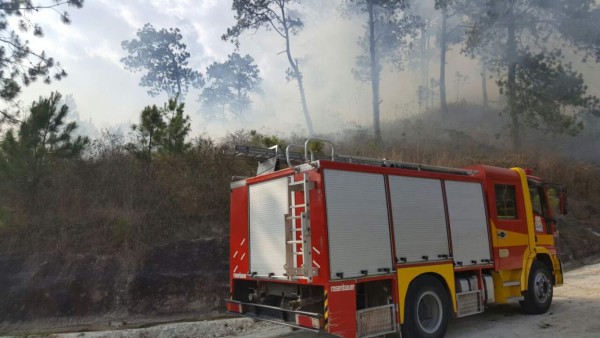 Buscan contener otro incendio forestal, esta vez en el occidente de Honduras