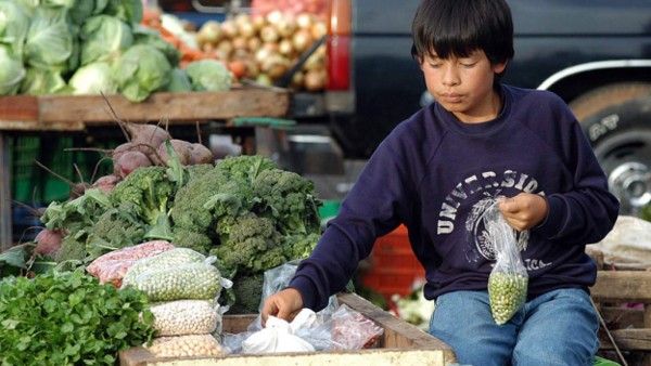 Unos 2,5 millones de niños mexicanos trabajan para huir de pobreza extrema  