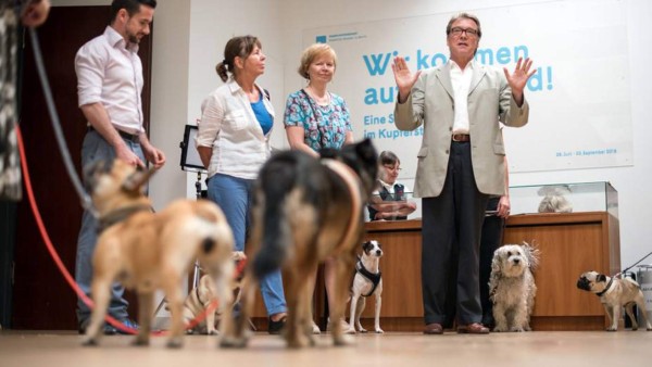 Museo alemán le abre sus puertas a los perros  